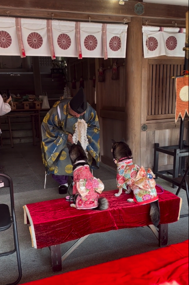 最後はお辞儀をしてご祈祷が無事終了