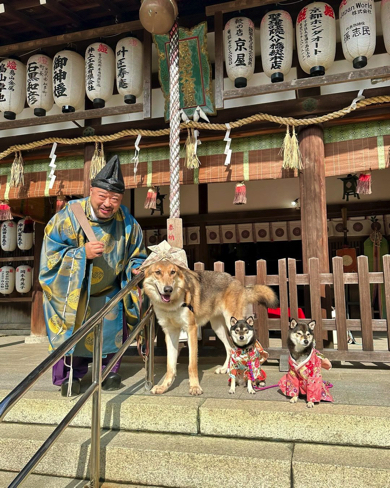 神主さんと記念撮影をする豆柴たち