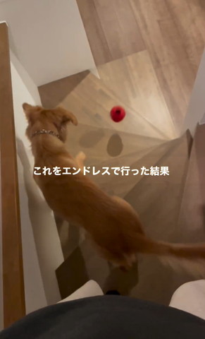 これをエンドレスで行った結果