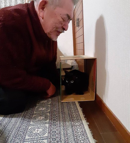 箱の中にいる猫