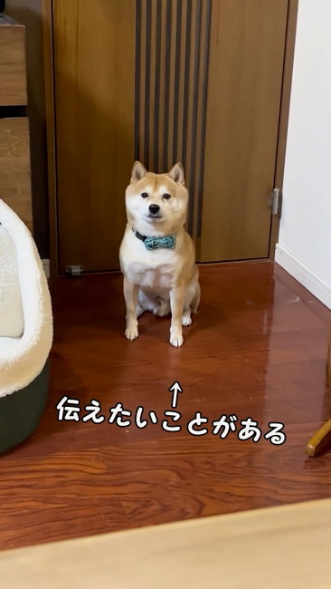 伝えたいことがある