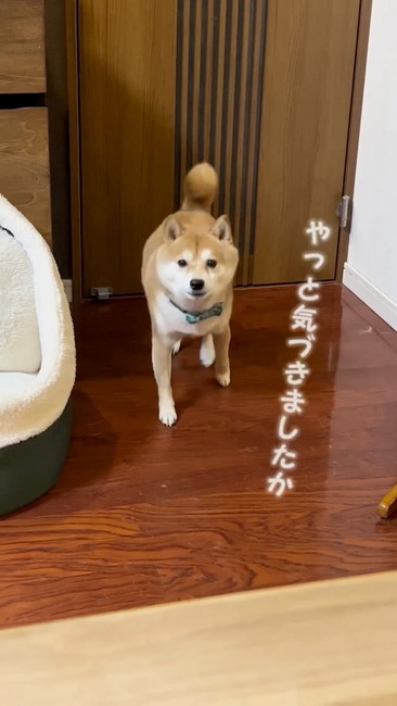 やっと気付いた？