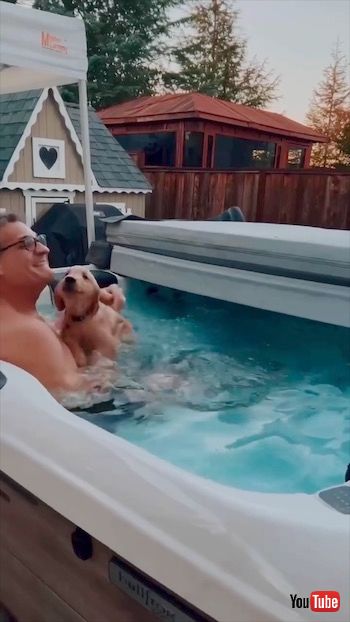 ジャンプしたワンコ