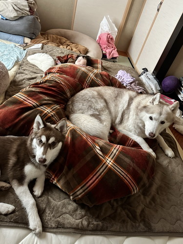 赤ちゃんとヴィヴィアンくん、マリアンちゃん