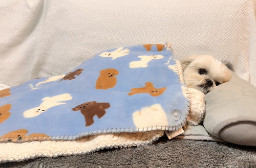 お布団をかぶって見送るえっちゃん