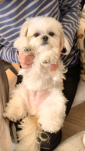 後ろから抱っこされているえっちゃん