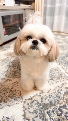 見上げるえっちゃん