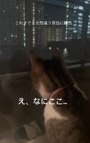 これまでと全然違う景色