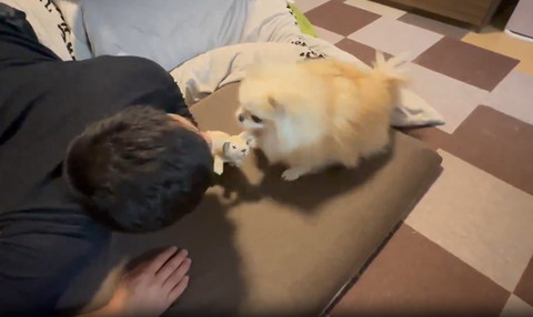 お座りするワンコ横顔