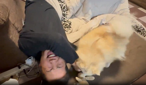 悶えるパパとぬいぐるみを見るワンコ