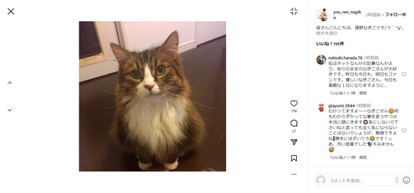 遠野なぎこInstagram