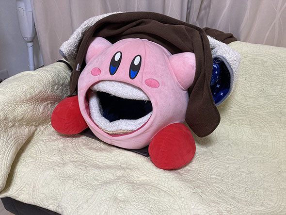 歯が生えたカービィ