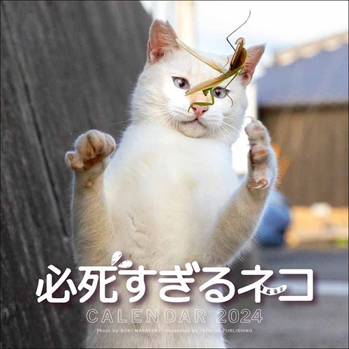 必死すぎるネコカレンダー