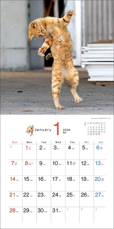 必死すぎるネコカレンダー