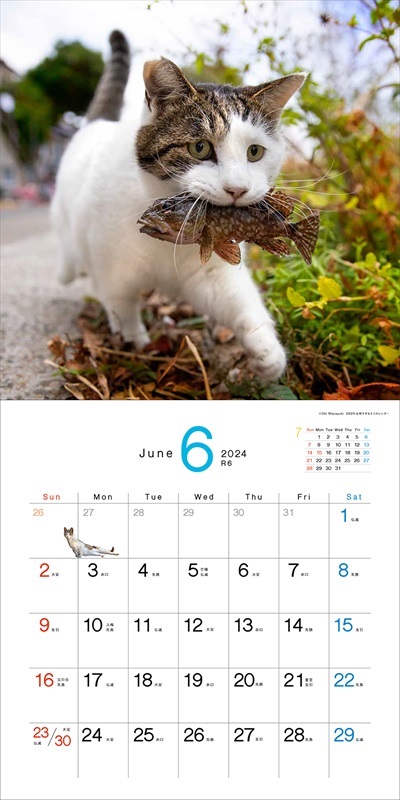 必死すぎるネコカレンダー