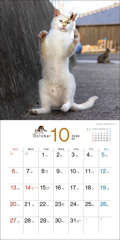 必死すぎるネコカレンダー