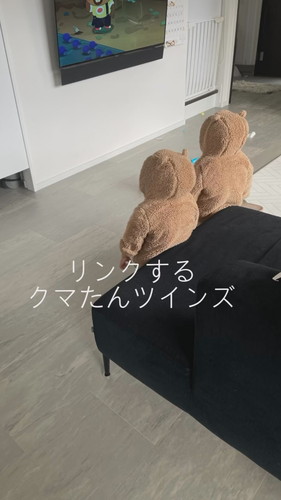 くま耳パーカを着る双子ちゃんの後ろ姿