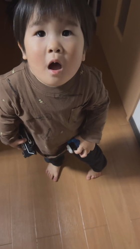 見上げるわーちゃん