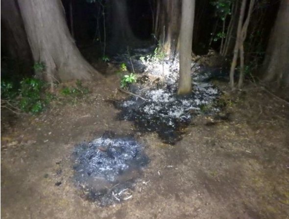 埼玉県飯能市観光情報公式X（Twitter） 山火事 たき火 注意喚起