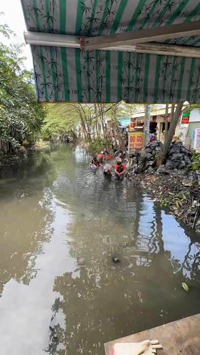 掃除 ビフォーアフター 環境