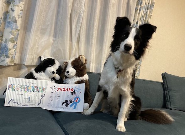 競技大会の表彰書類とワンコ