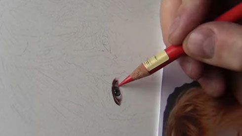 色鉛筆で目玉を描いたところ