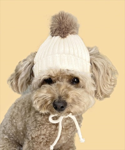 スリコペット防寒アイテム