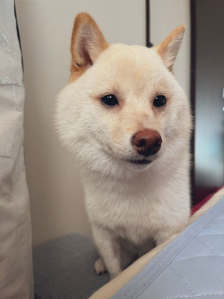 起こすのが早い