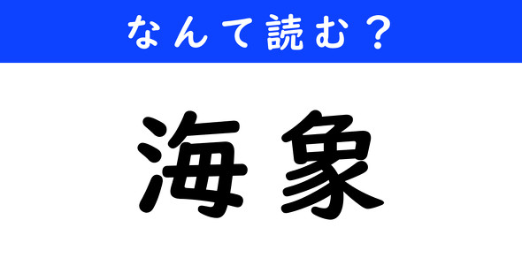 漢字クイズ　難読漢字　海象