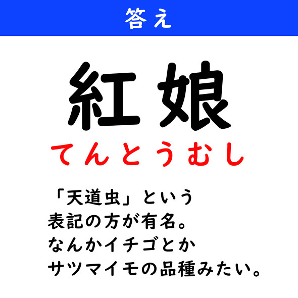 漢字クイズ　難読漢字　紅娘