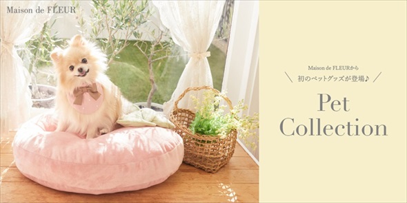 メゾンドフルール・ペットコレクション