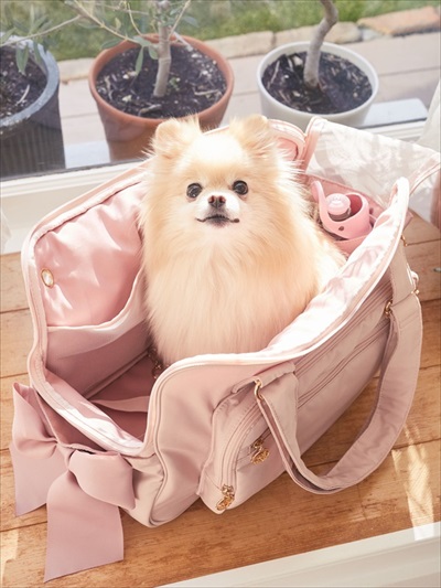 メゾンドフルール・ペットコレクション