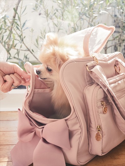 メゾンドフルール・ペットコレクション