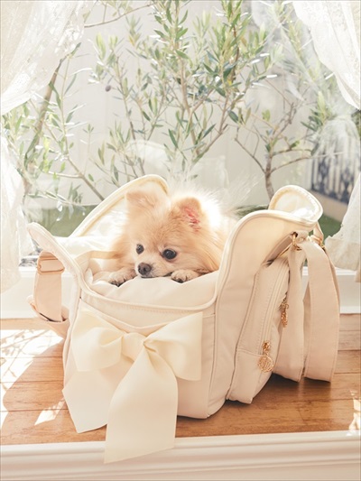 メゾンドフルール・ペットコレクション