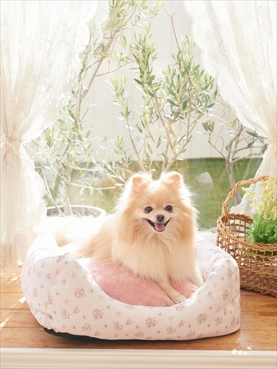 メゾンドフルール・ペットコレクション