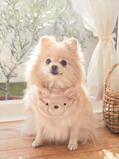 メゾンドフルール・ペットコレクション