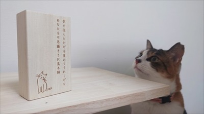 ねこひげケース