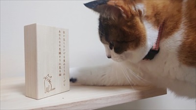 ねこひげケース