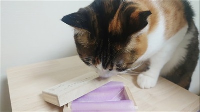 ねこひげケース