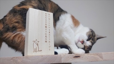 ねこひげケース