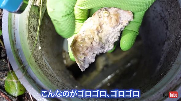 掃除 水道 クリーニング