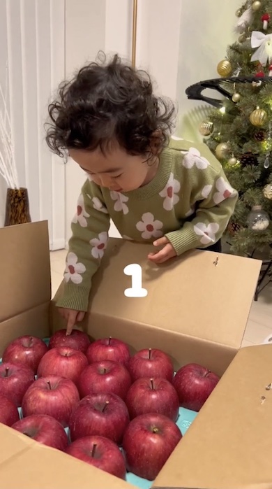 りんごを指さし1と数えている男の子