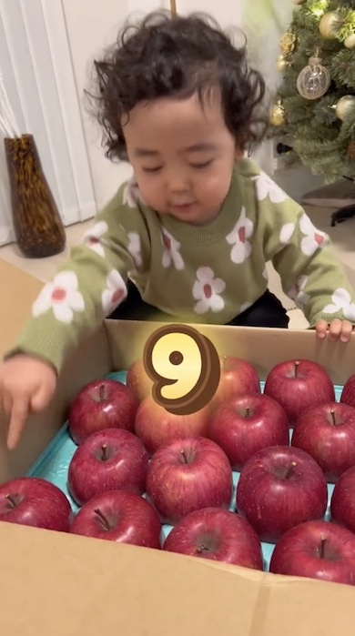再びりんごを指さし9と数えている男の子