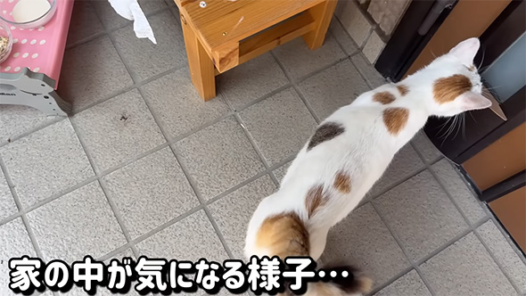 家の中が気になる