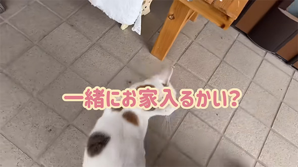 一緒にお家入るかい？