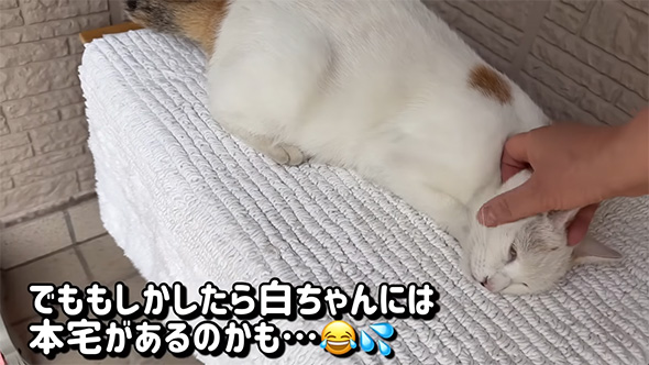 でももしかしたら