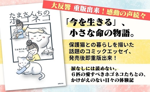 たまさんちのホゴネコ