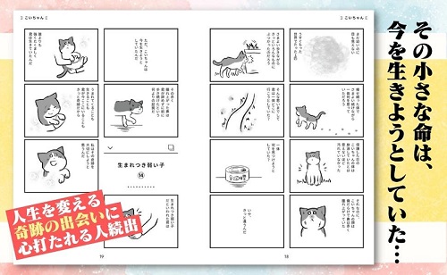 たまさんちのホゴネコ