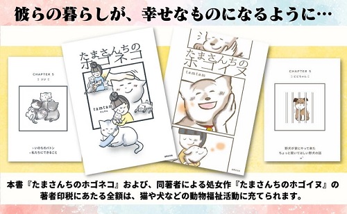 たまさんちのホゴネコ