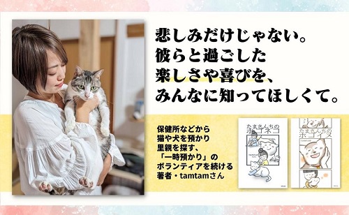 たまさんちのホゴネコ